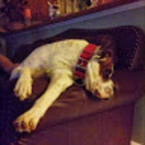 Meet your Posher, Lynn